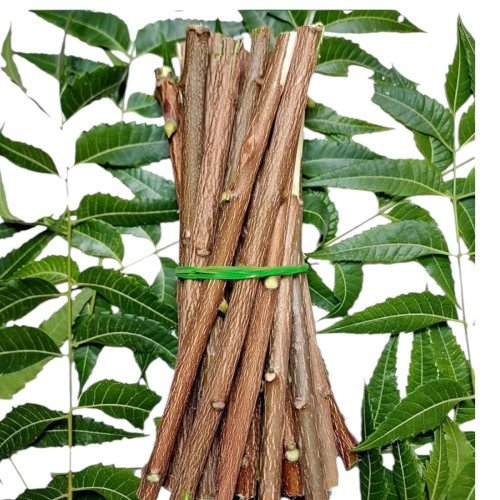 Neem Tree Chew Sticks  Twigs (Dattun)